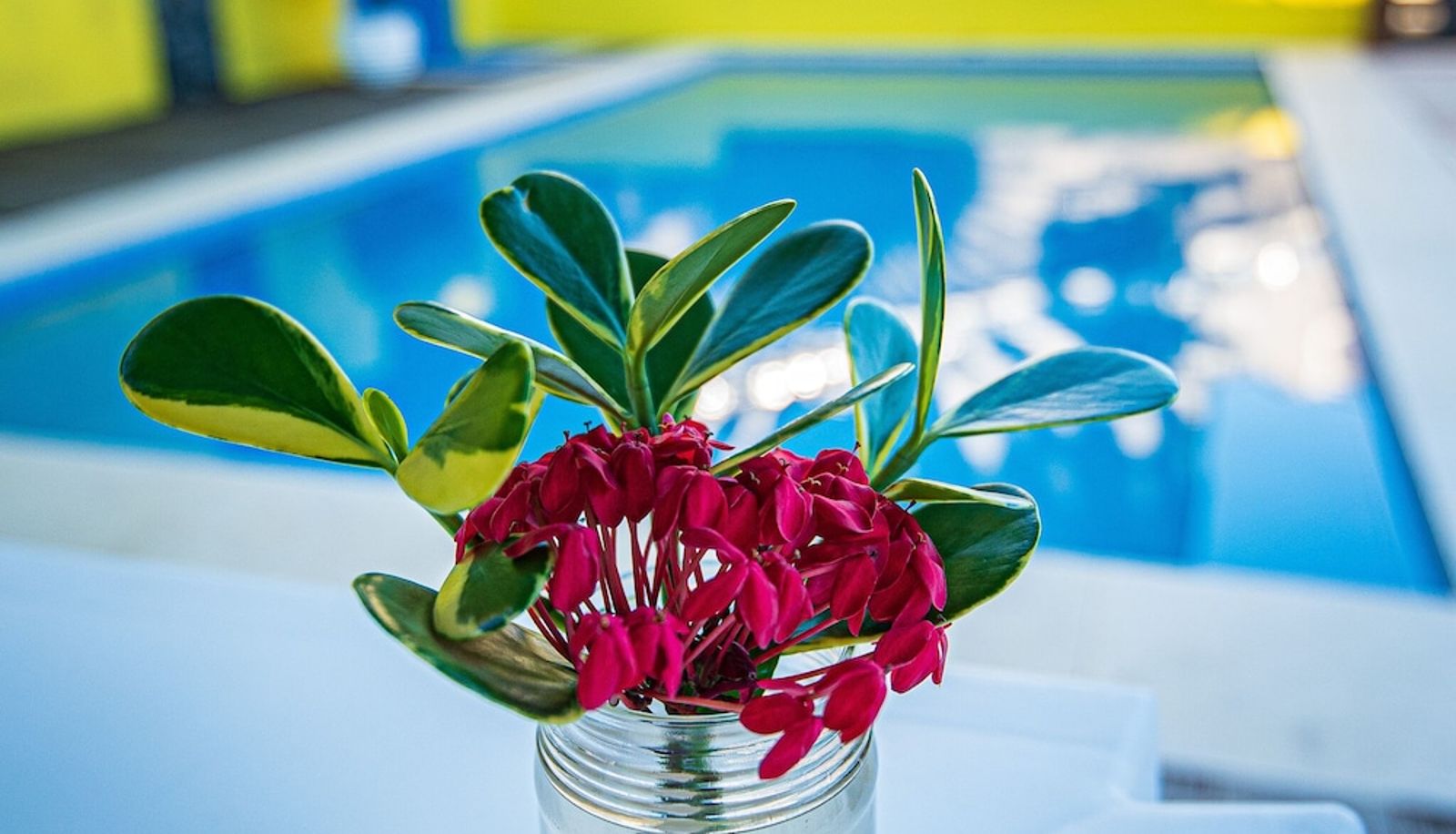 Pool - Areia Branca Apart Hotel