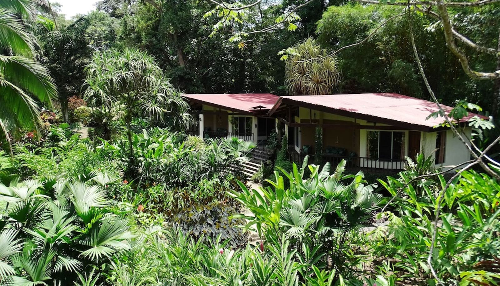 Info - Heliconia Island