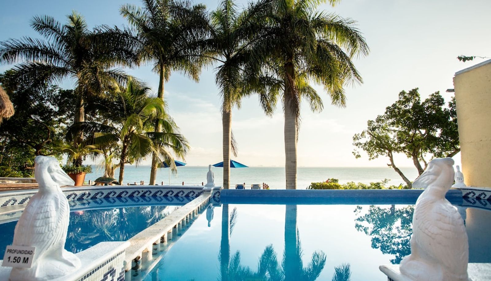 Piscine - Hotel La Joya
