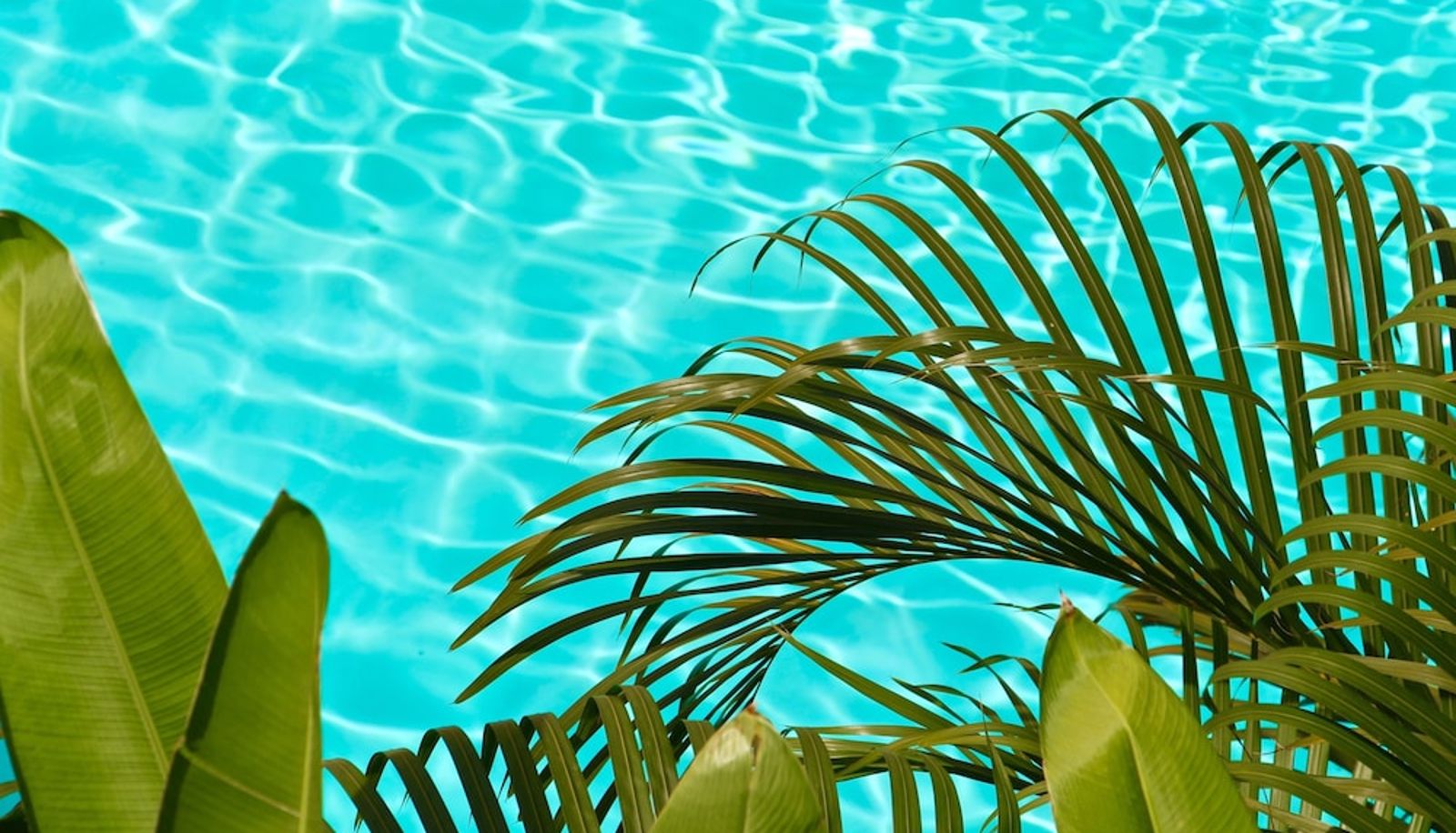 Pool - The Diplomat Boutique Hotel