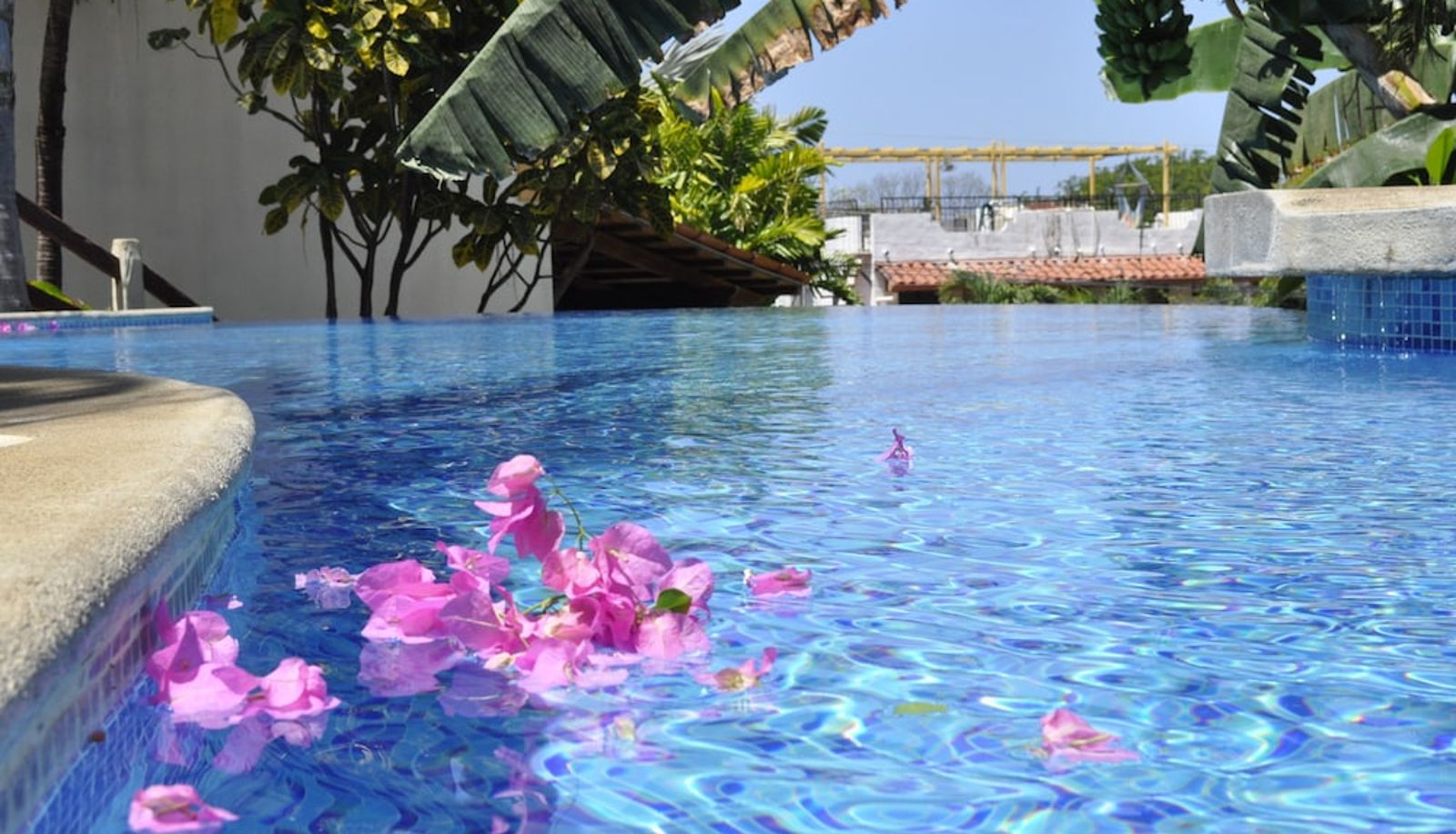 Pool - Tropical Gardens