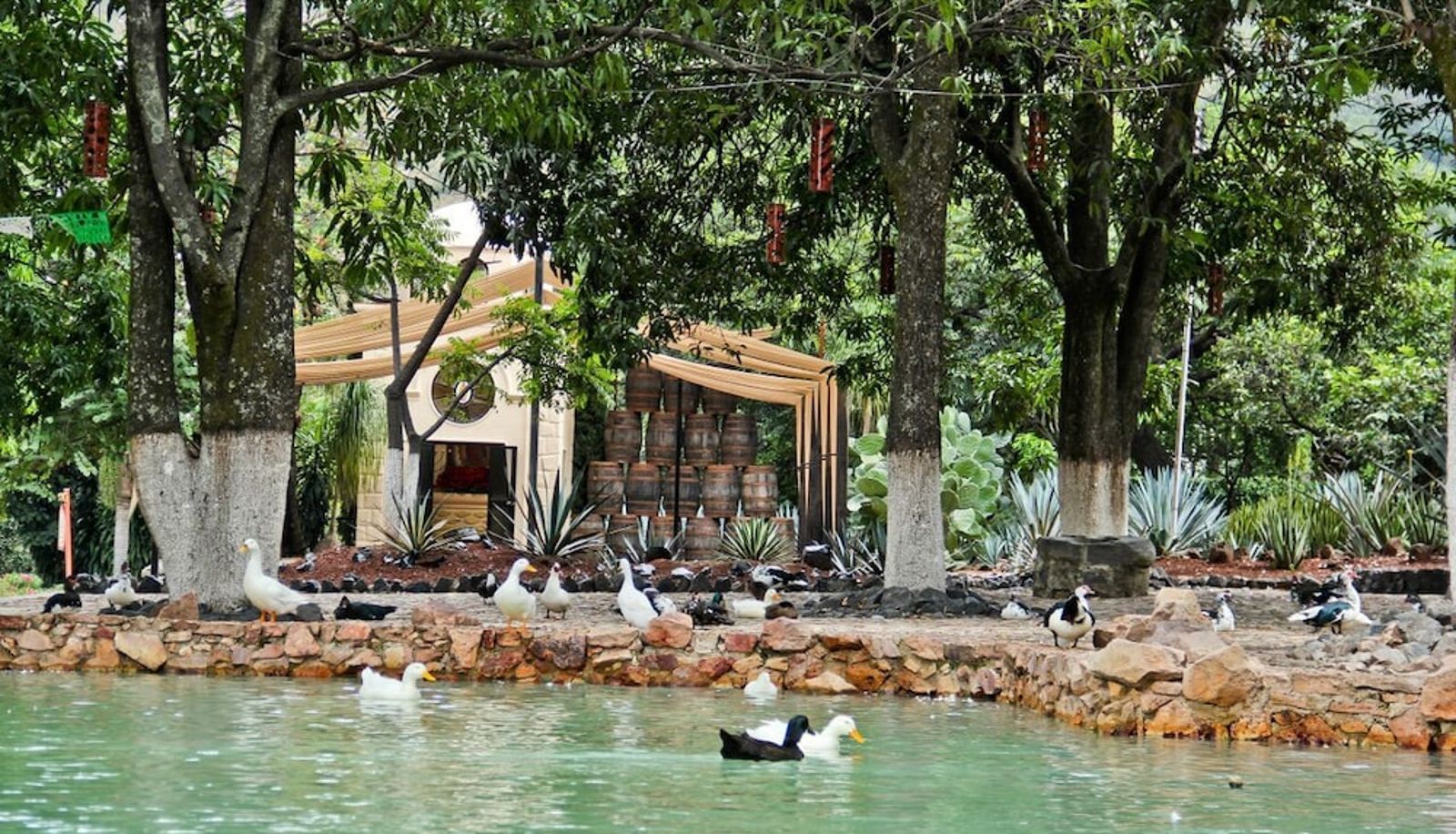 Restaurant - Matices Hotel de Barricas