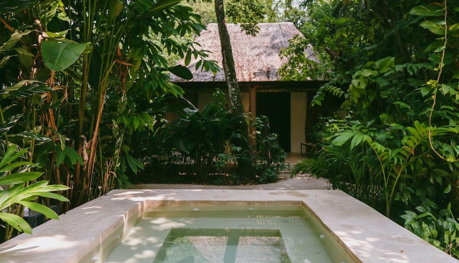 Pool - Piedra de Agua Hotel Boutique Palenque