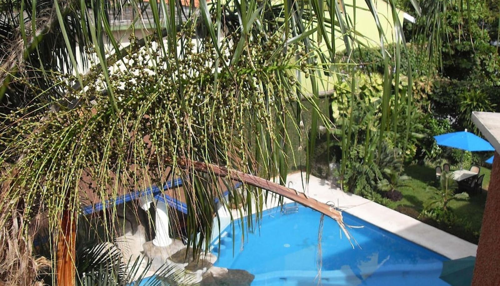 Pool - Hotel Playa Cristal
