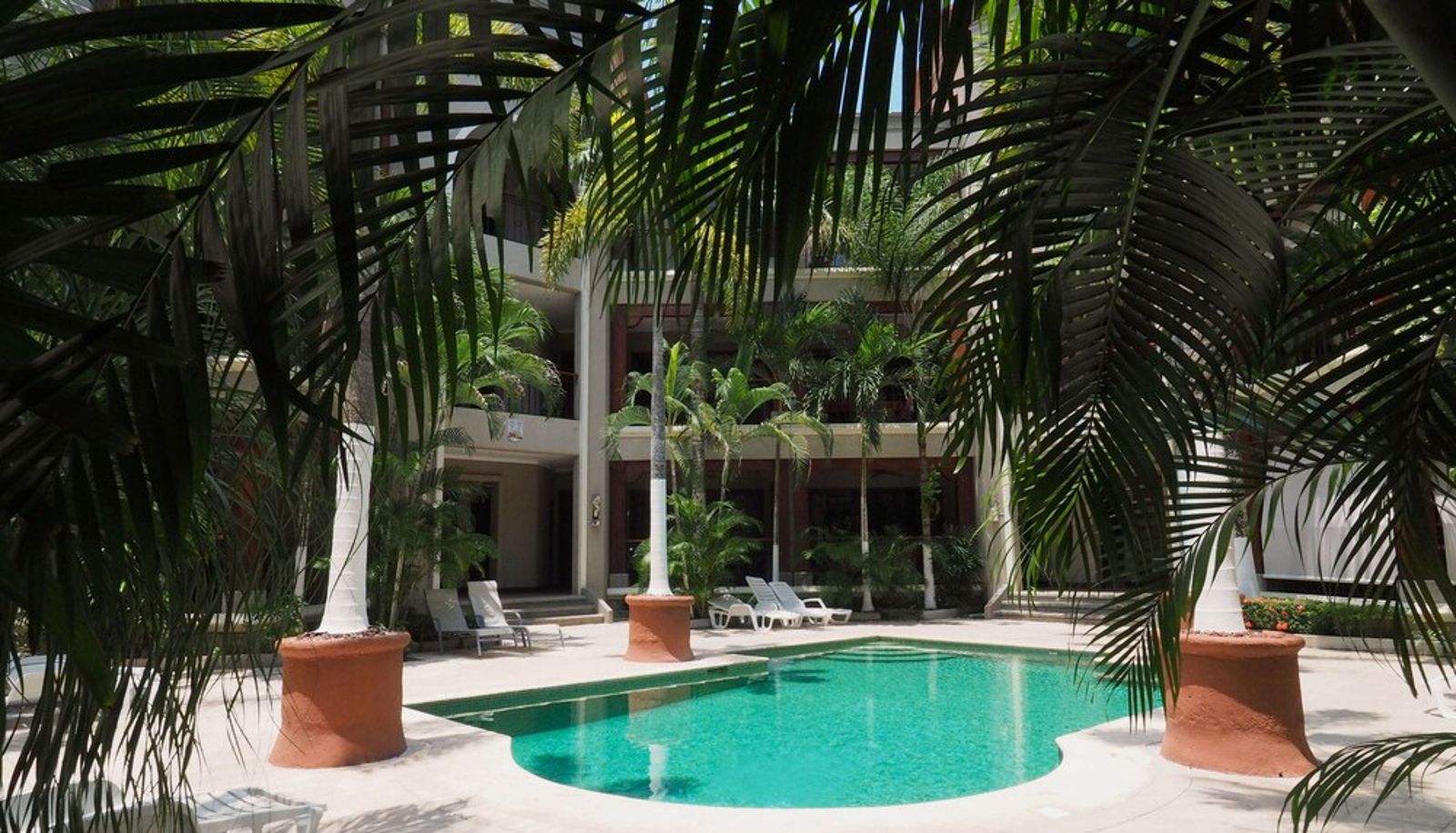Pool - Macaws Ocean Club