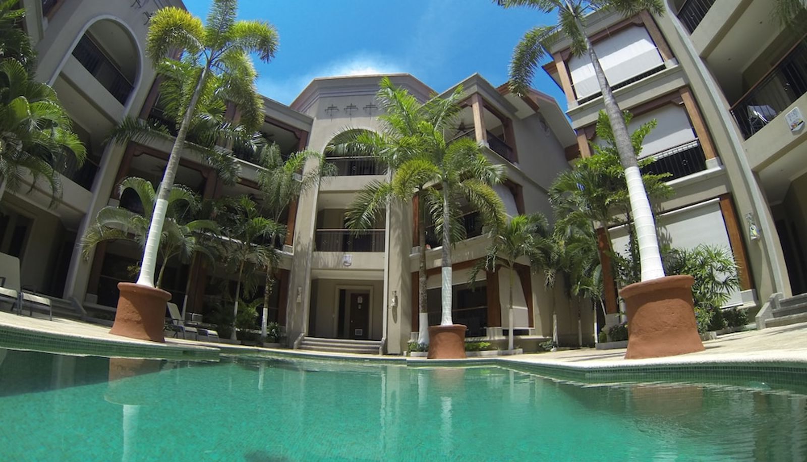 Pool - Macaws Ocean Club