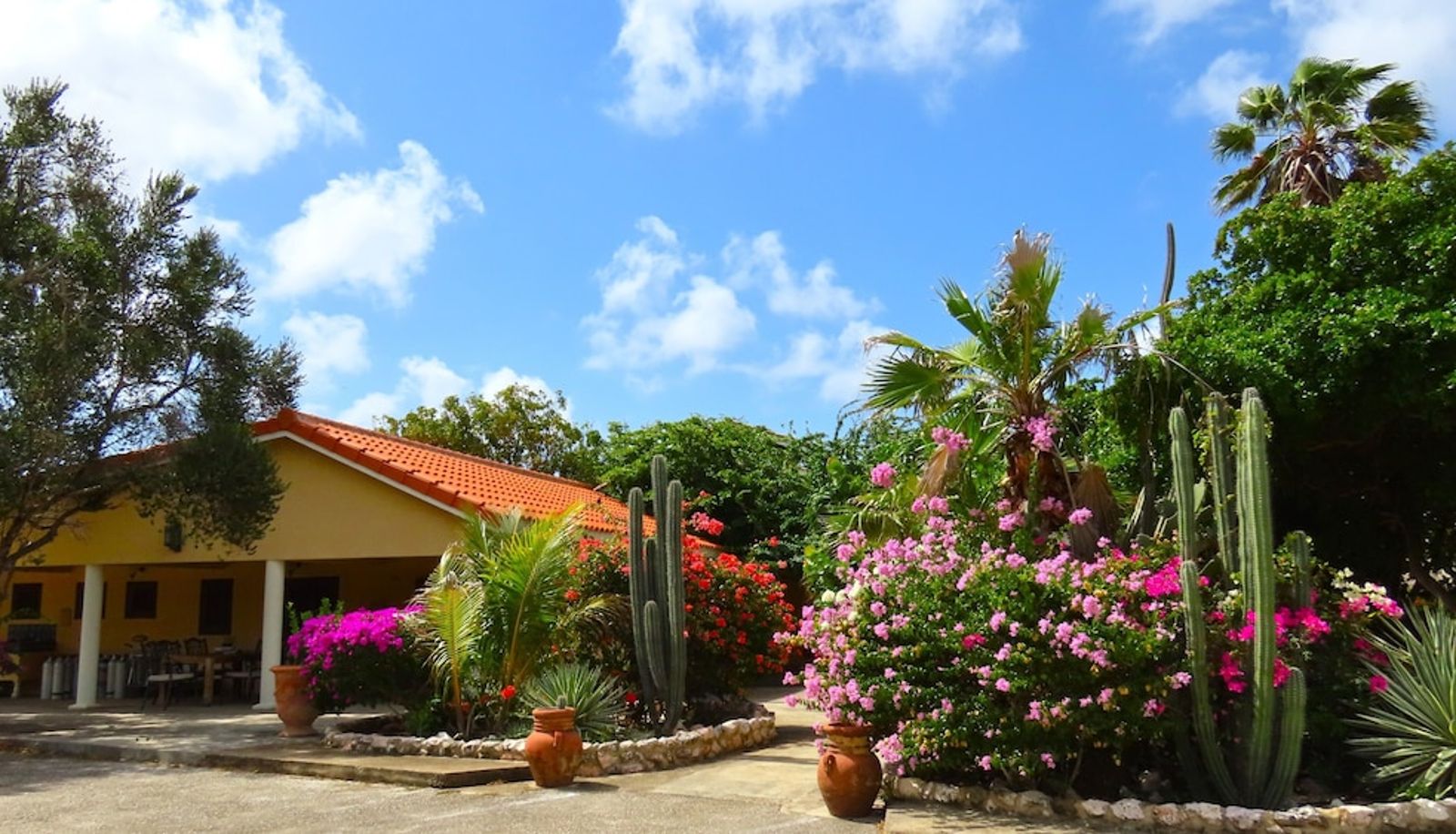 Recepcja - Lagun Blou Resort