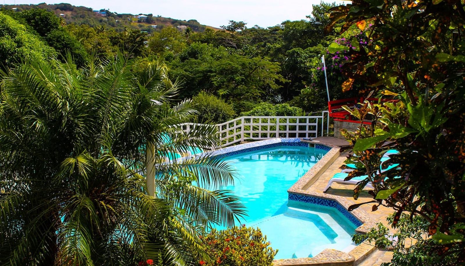 Pool - Sugarapple Inn