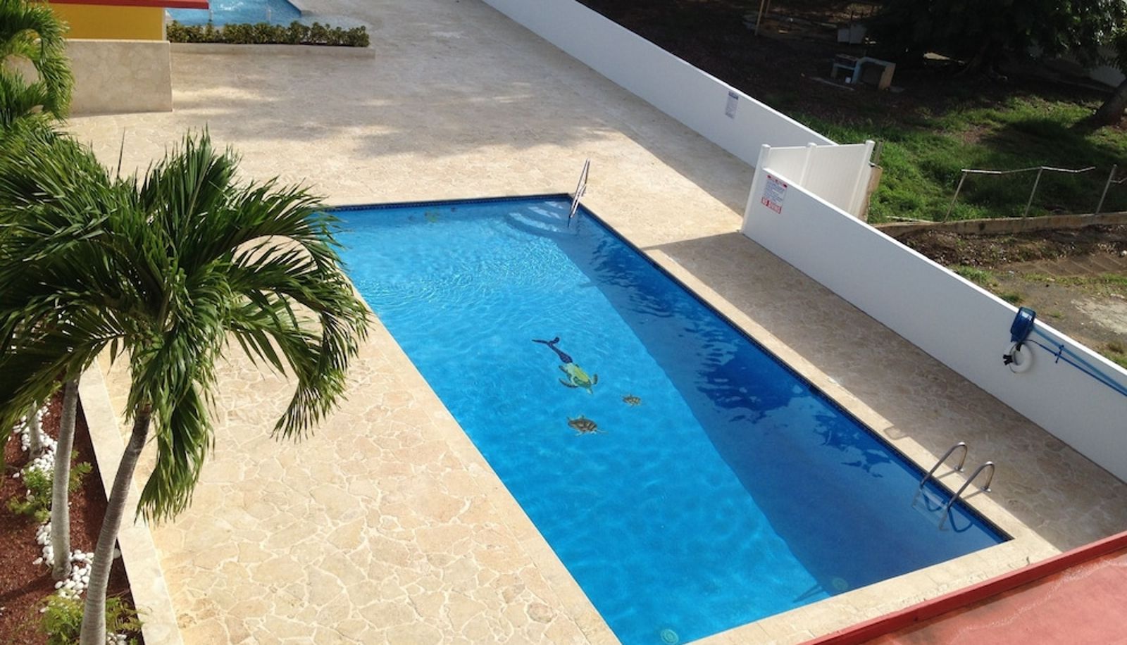 Pool - Arecibo Inn