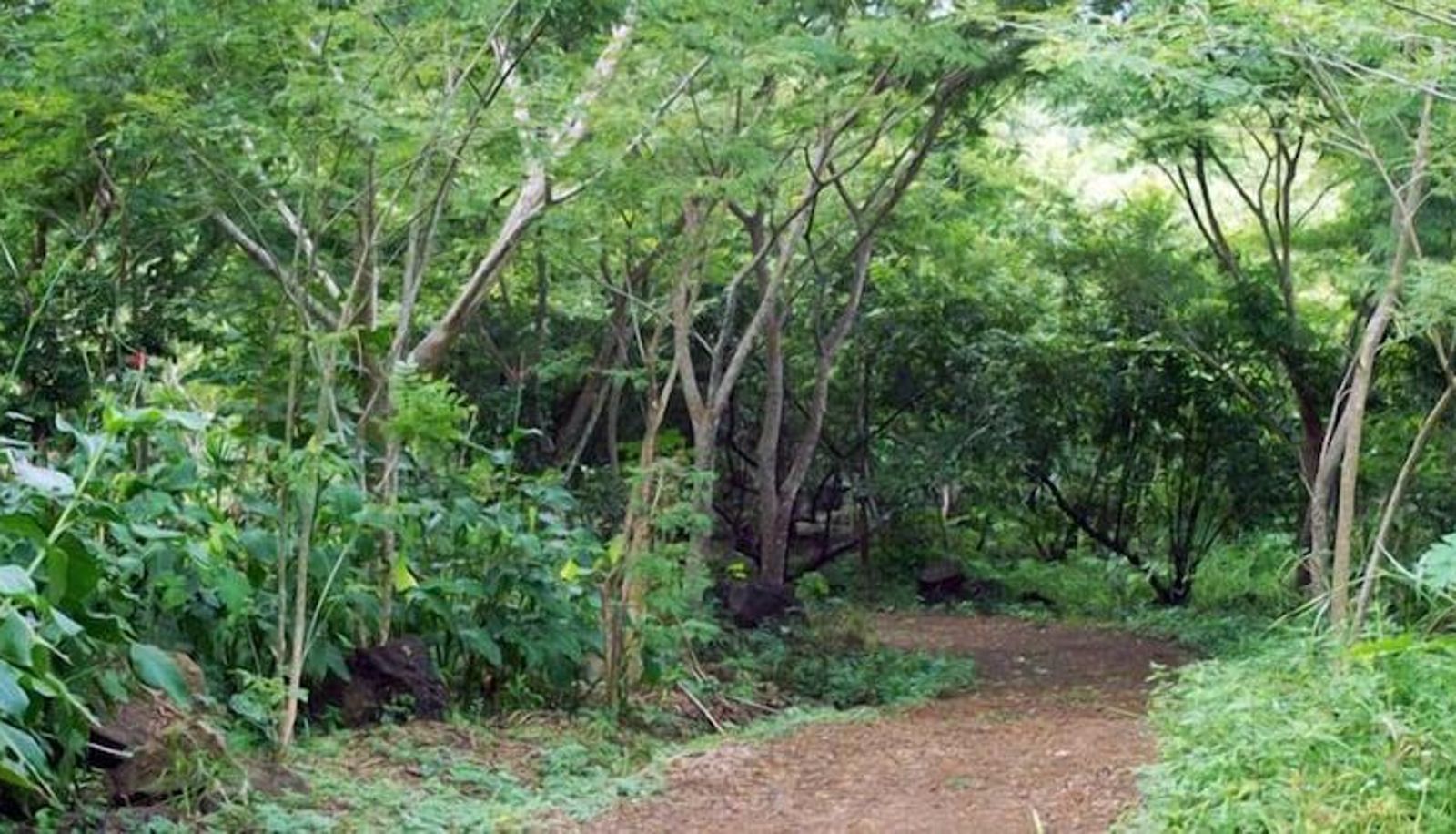Surrounding - Gaia Paraiso Cabañas Ecológicas