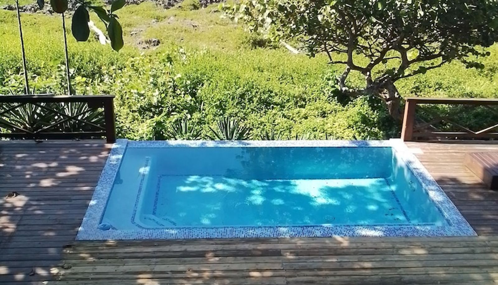 Pool - Cocolobo Resort
