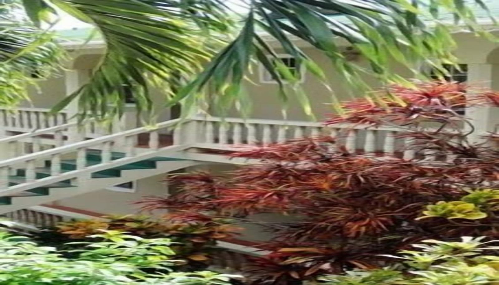 Info - Island inn Apartments