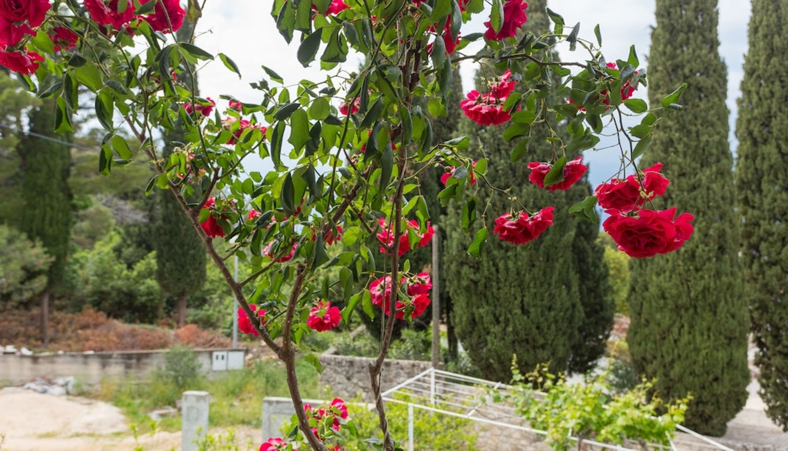 Giardino - Villa Anka