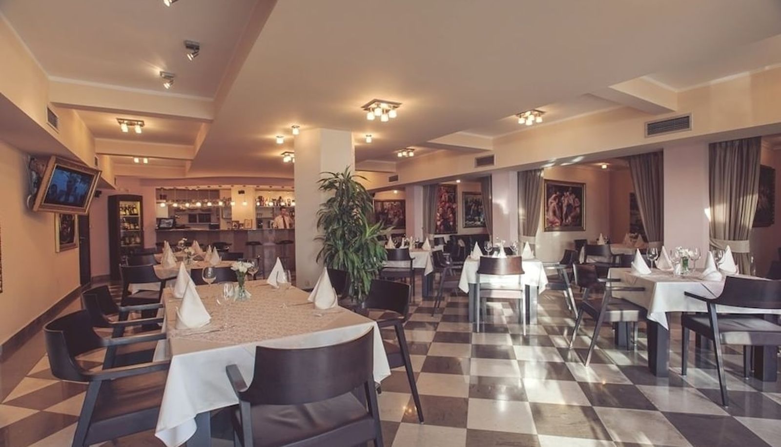 Restaurant - Hotel Romanov