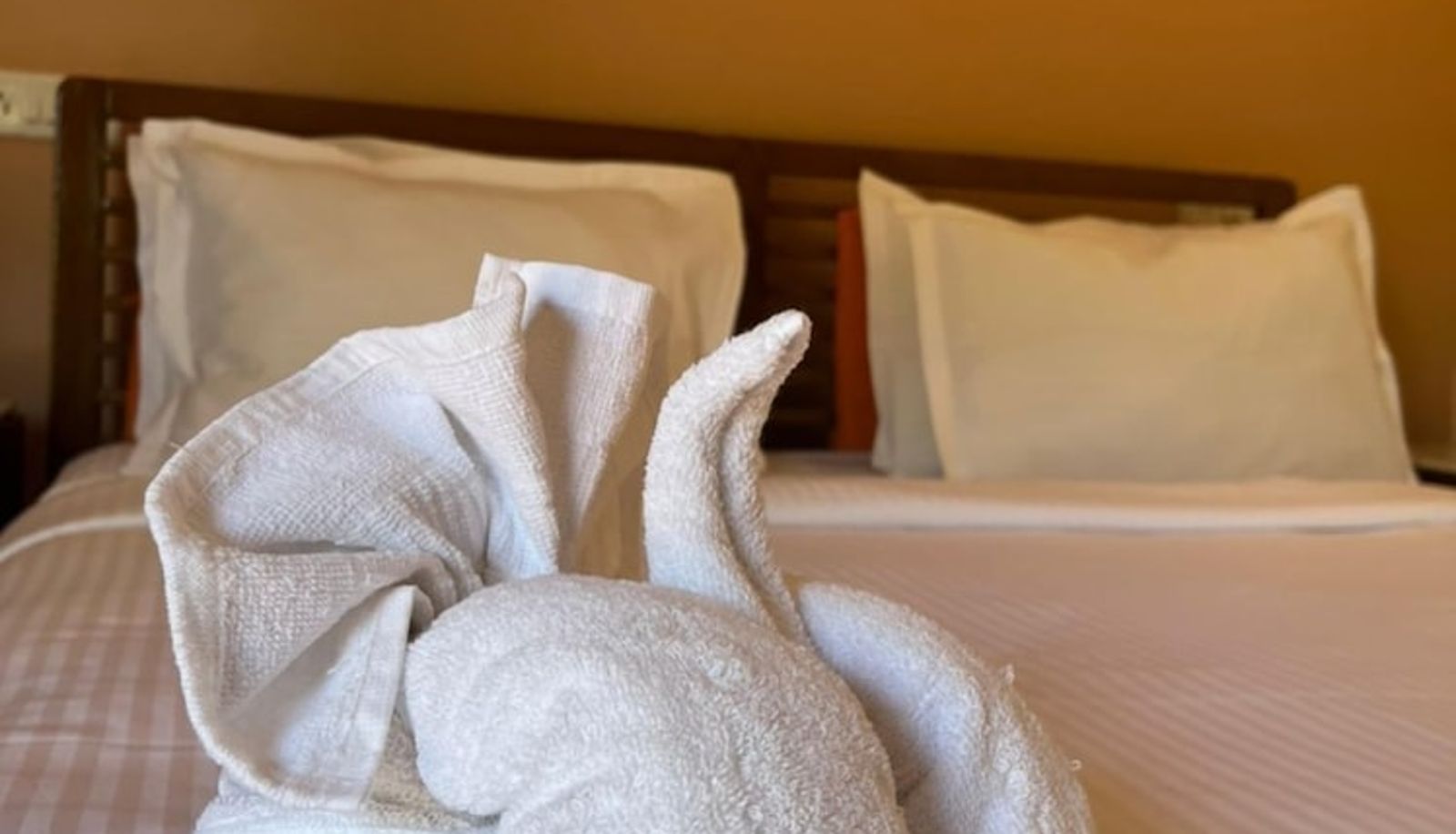 Appartement - Rococco at Ashvem