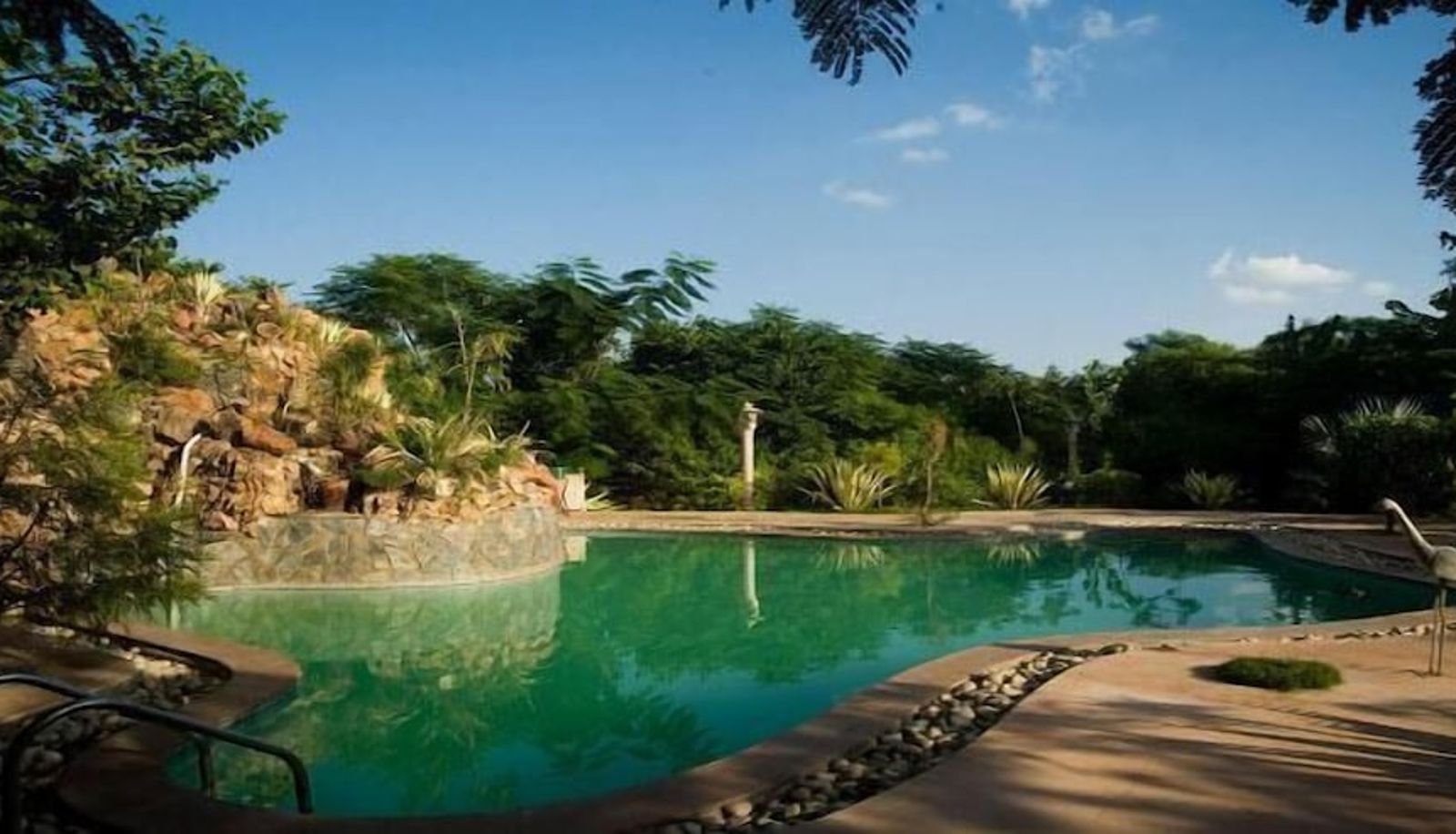 Pool - The Tree House Resort