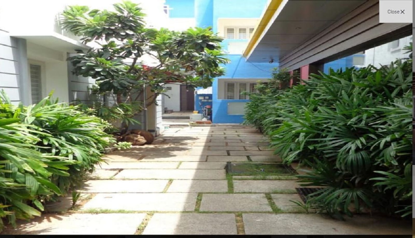 Jardin - Rainbow Hotel