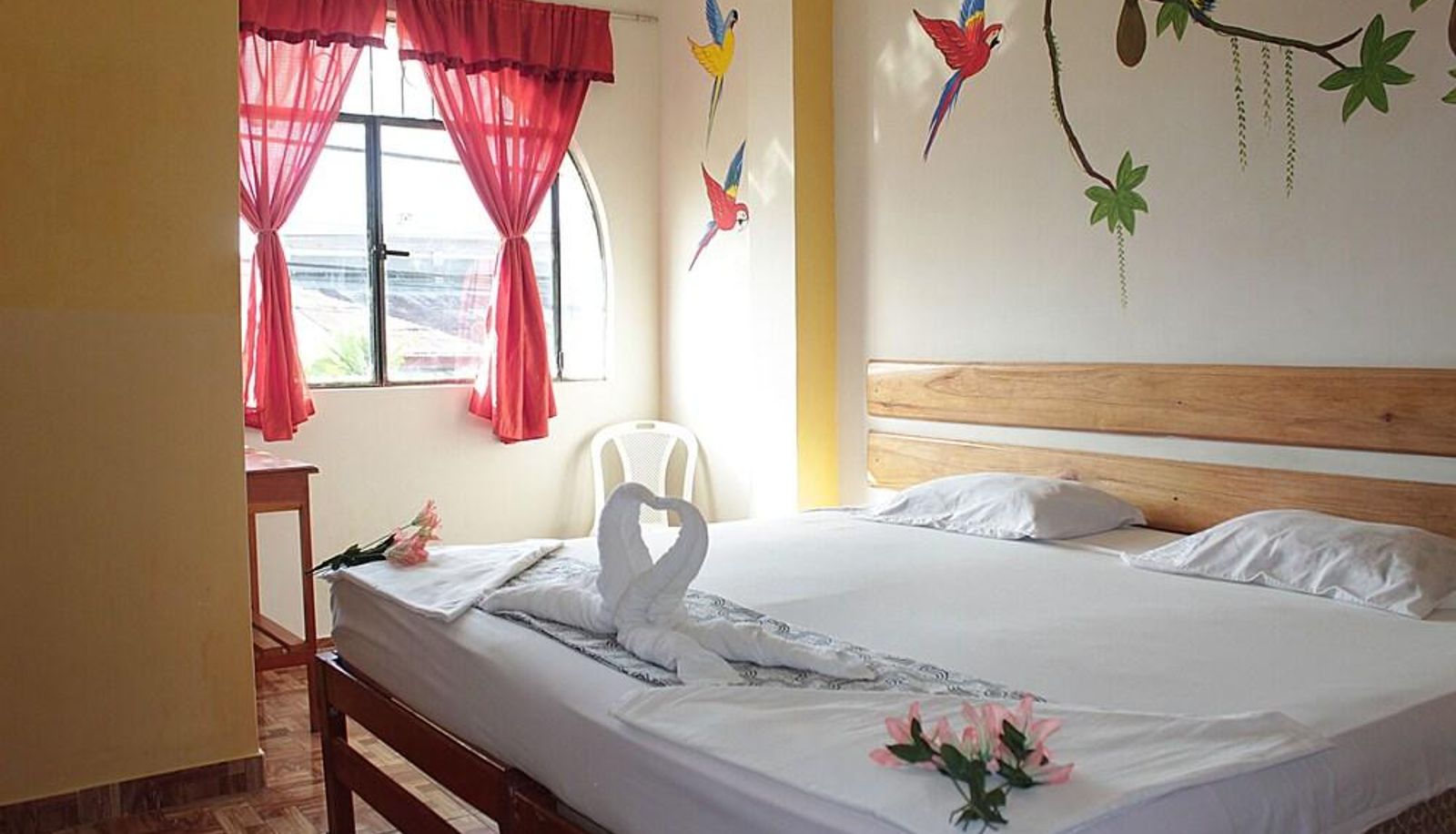 Standaardkamer - Amazon House Hostel