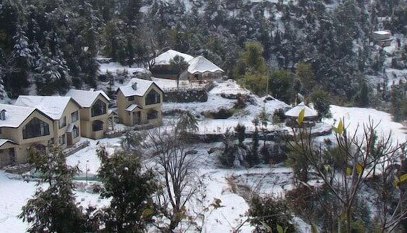 Area esterna dell'hotel - Oakwood Hamlet