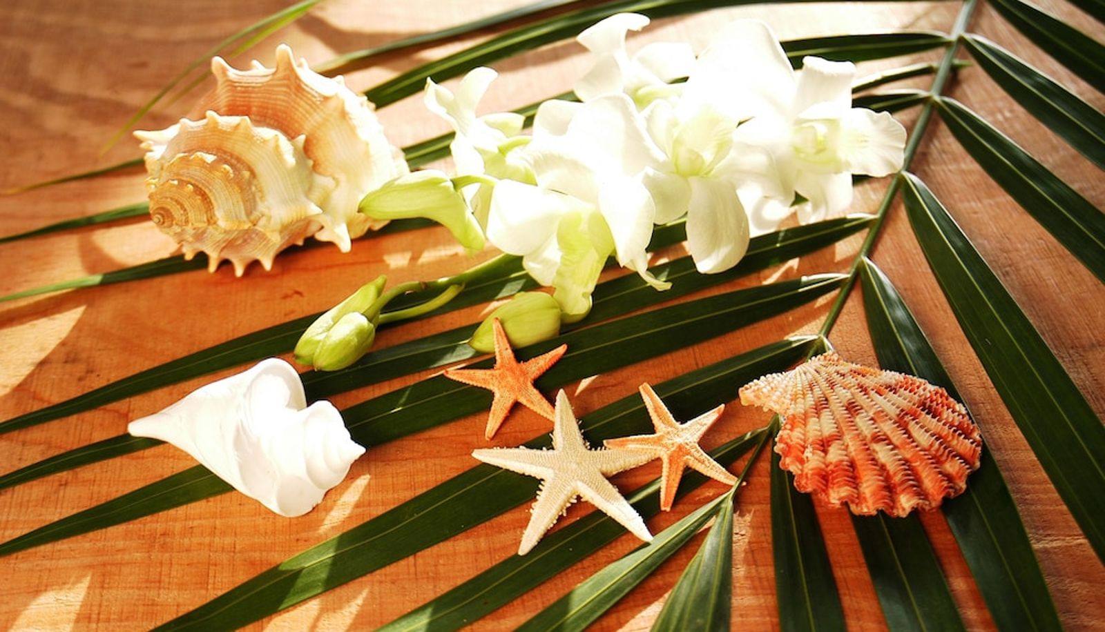 Rezeption - BUZZ RESORT