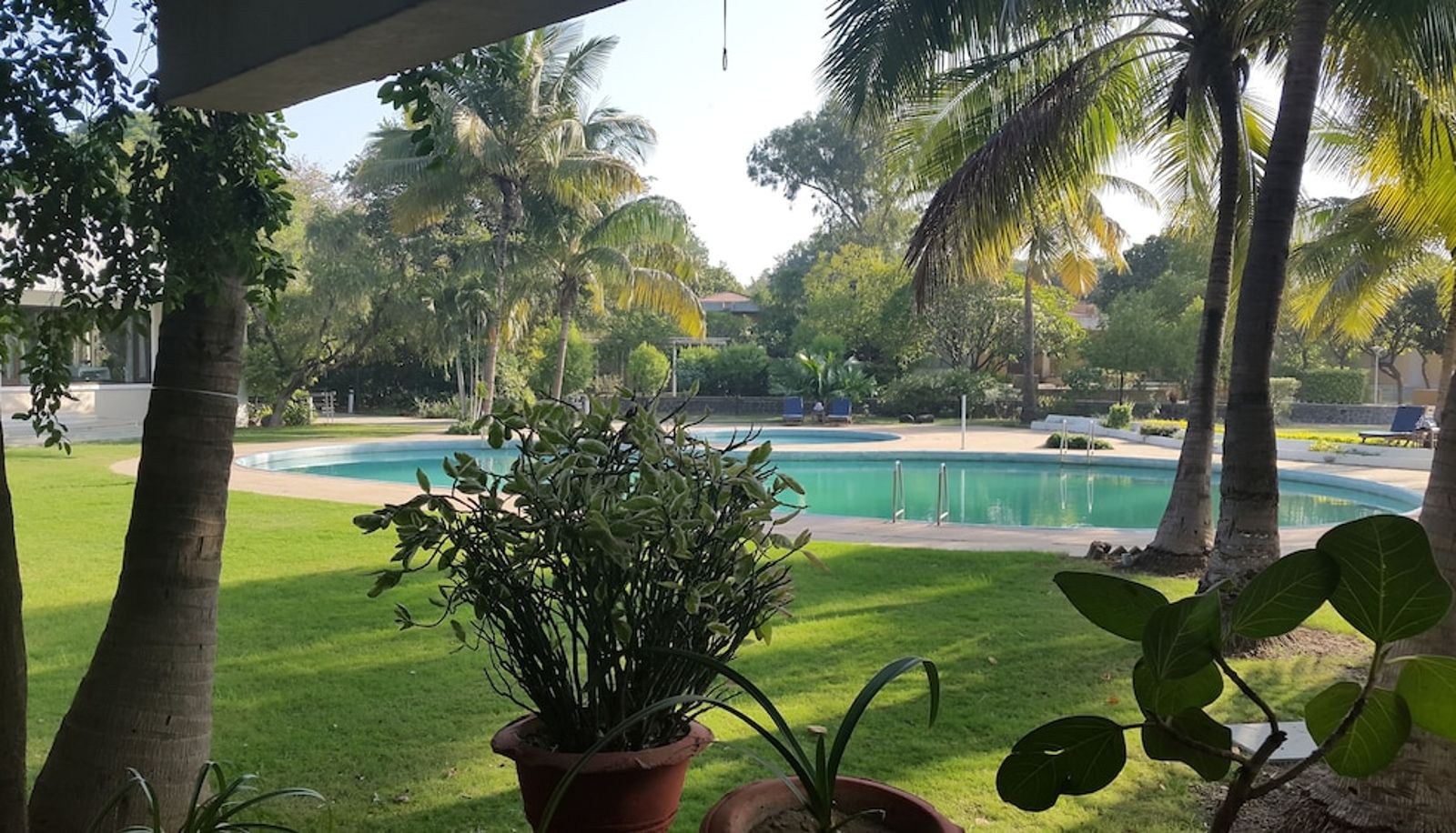 Zwembad - The Meadows Resort and Spa