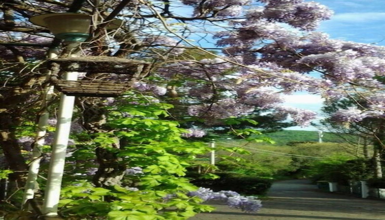 Surrounding - Hotel Ristorante Sole