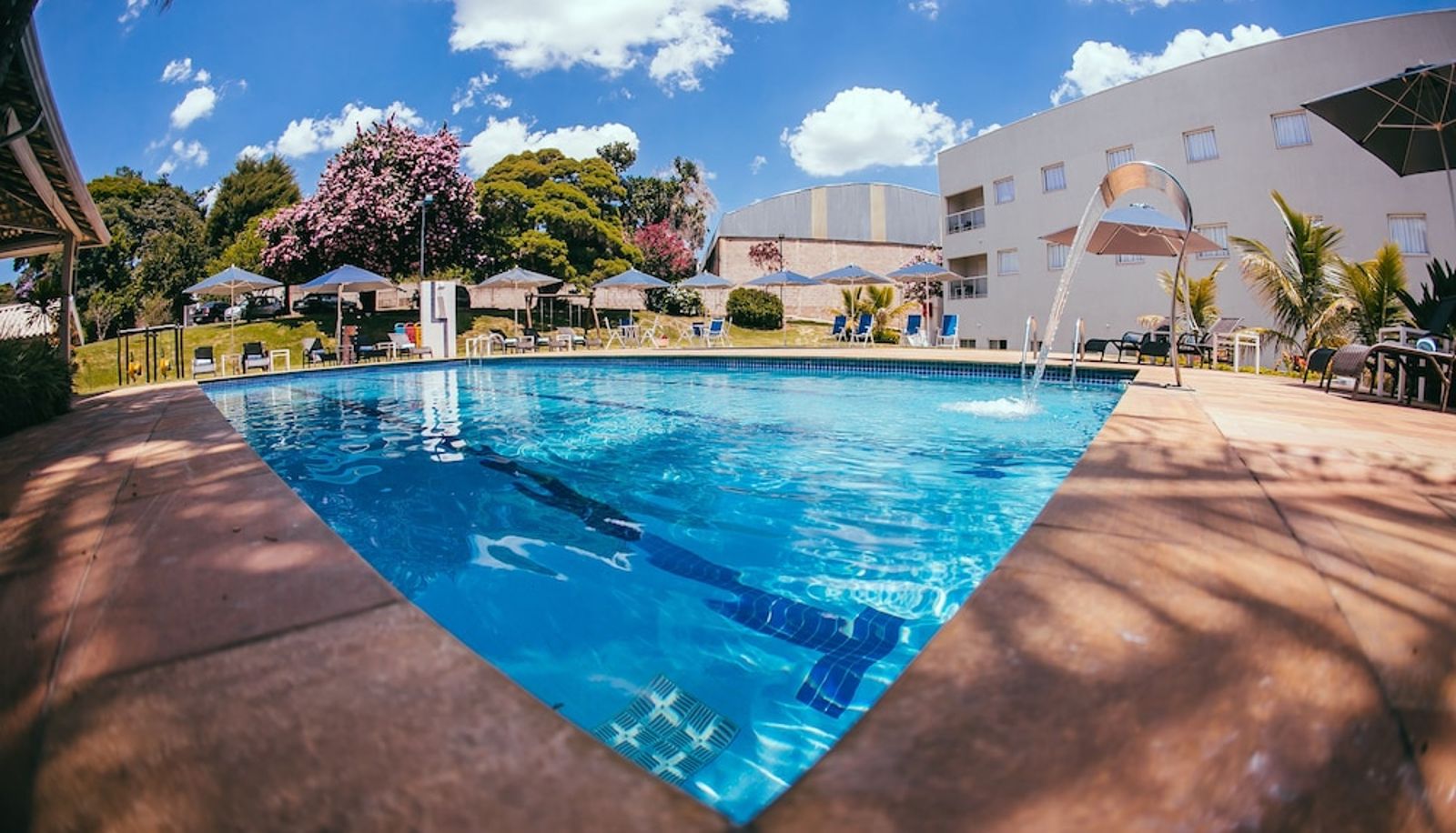 Pool - Valinhos Plaza Hotel