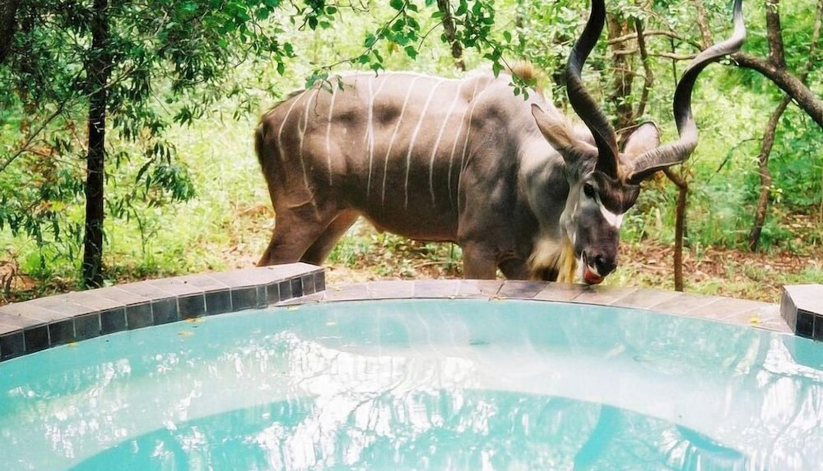 Pool - Maqueda Lodge