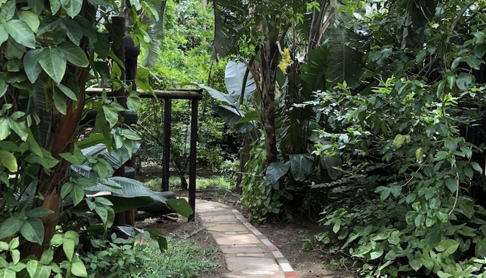 Info - Ingwenya Lodge
