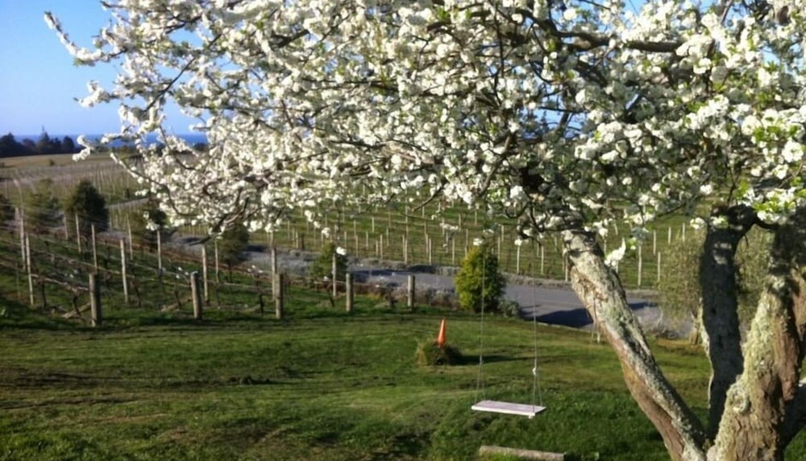 Tuin - Pine Hill Lodge
