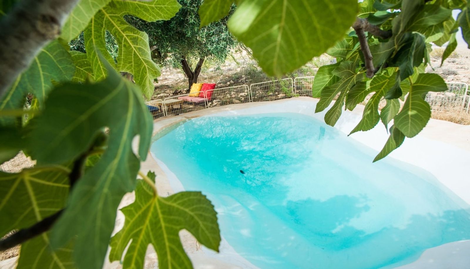 Pool - Carmey Avdat Farm