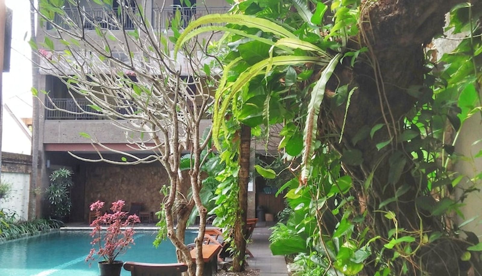 Pool - ECLIPSE Hotel