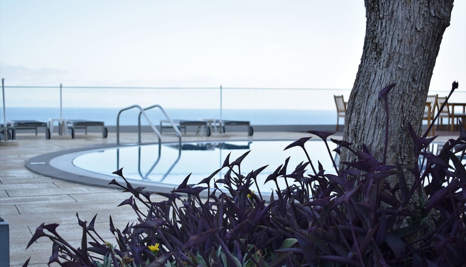 Pool - Madeira Regency Cliff