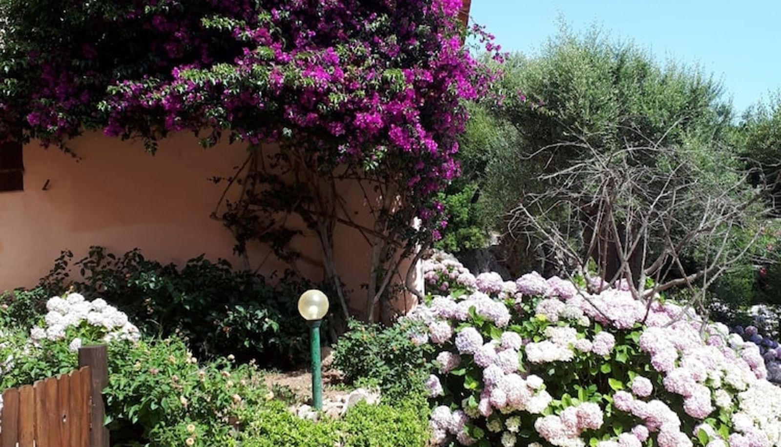 Garden - Residenza Arnica