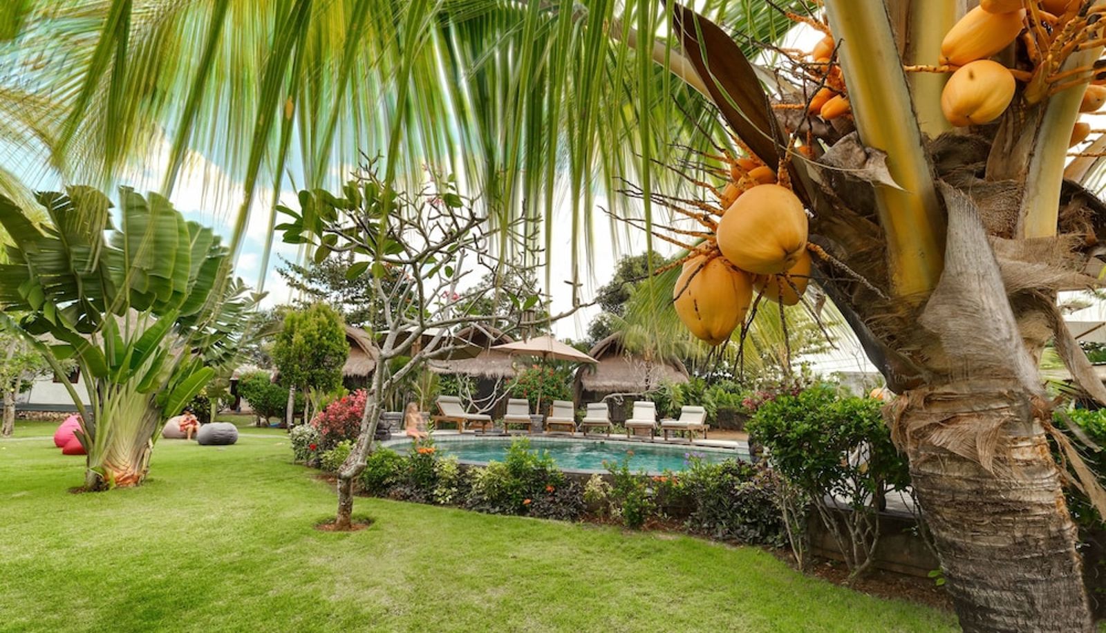 Pool - Brothers Bungalows Balangan