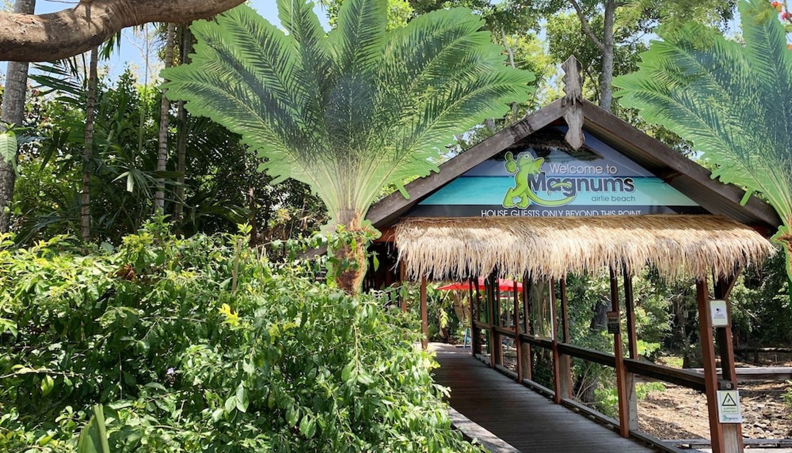 Réception - Magnums Airlie Beach