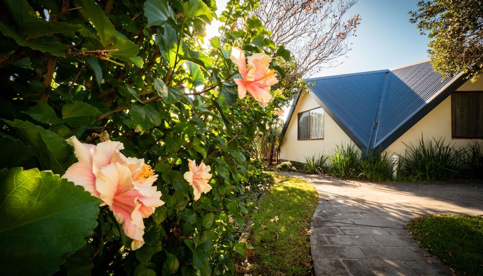Garden - Beach Cabins Merimbula