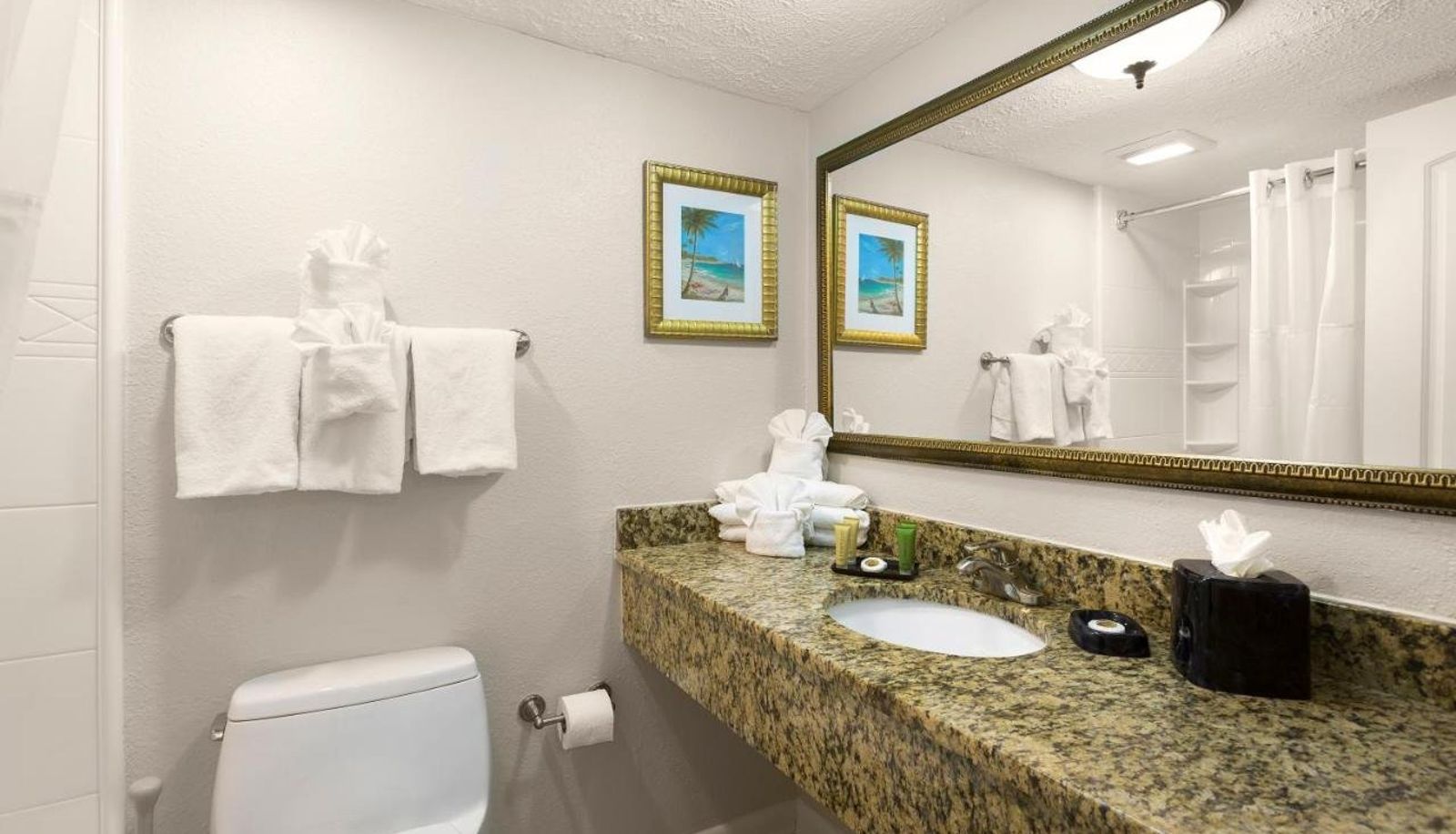 Habitación - Sea Crest Oceanfront Resort