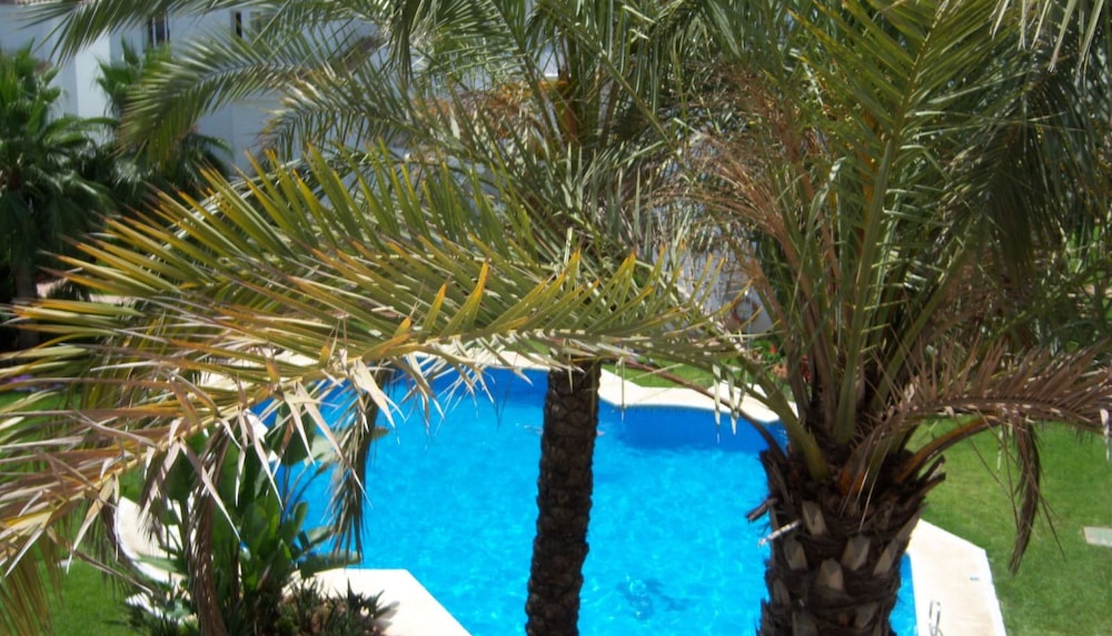 Piscina - Serinamar - Los Naranjos de Marbella
