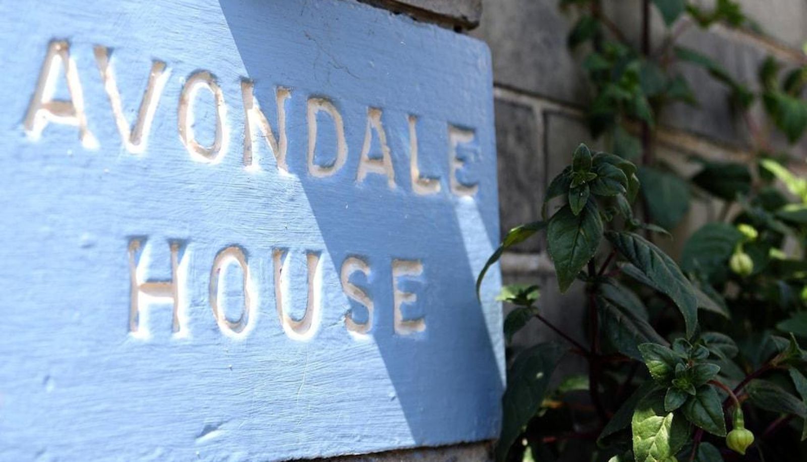 Area esterna dell'hotel - Avondale Guest House