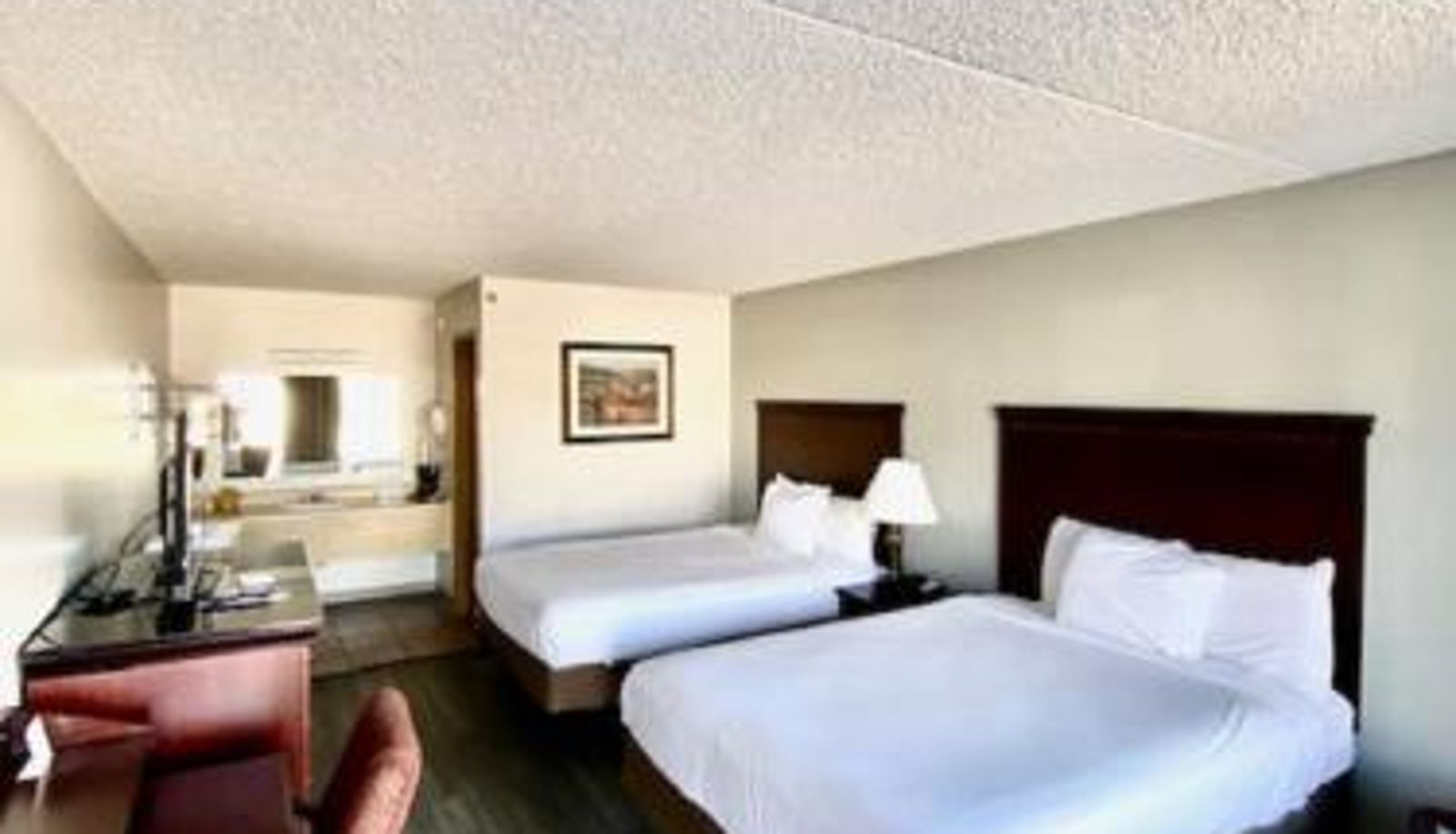 Camera - Willow Tree Inn Branson
