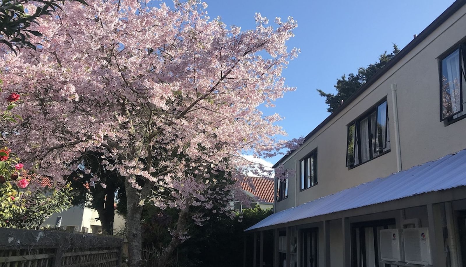 Jardin - Royal Park Lodge