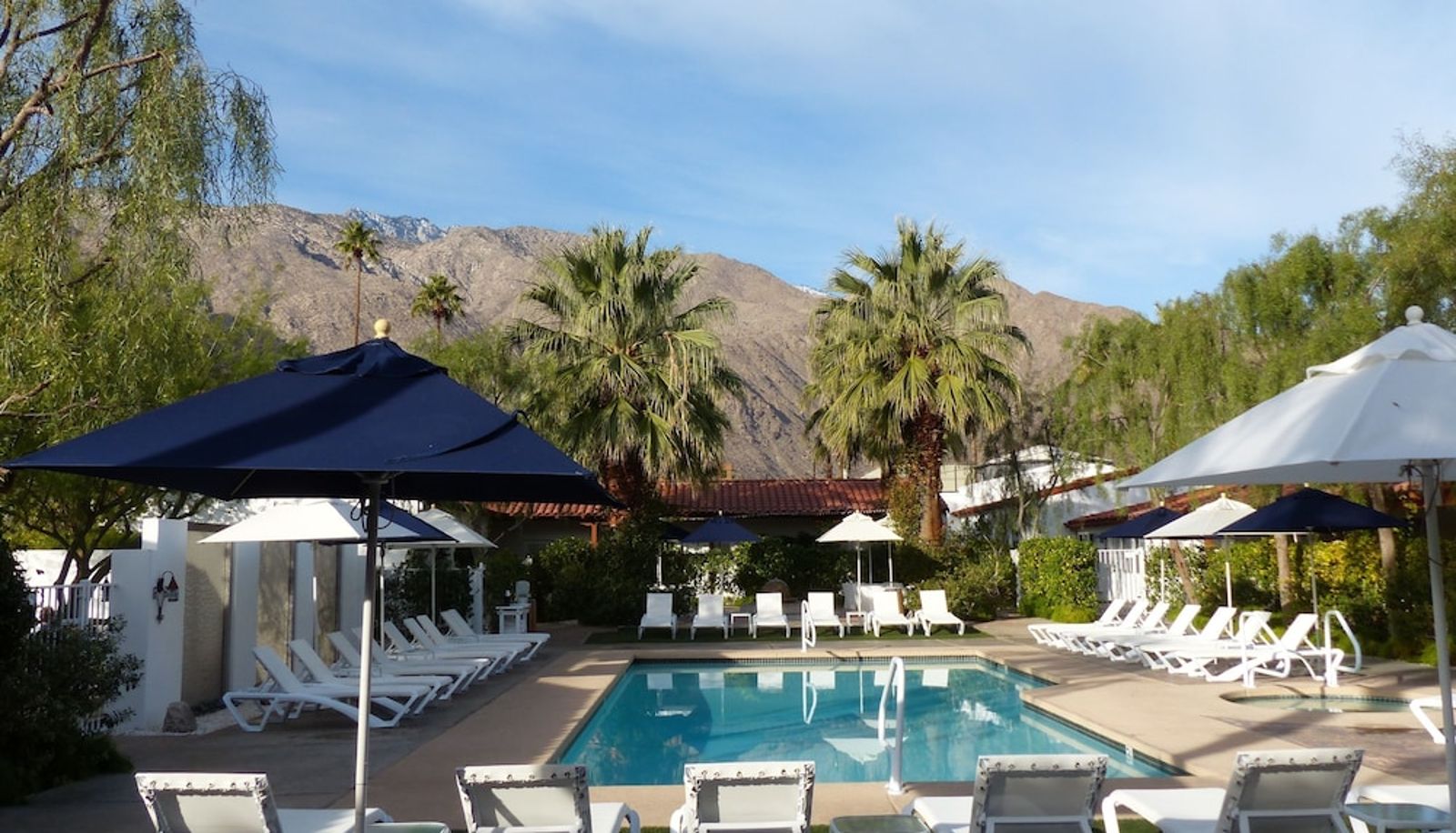 Pool - Alcazar Palm Springs