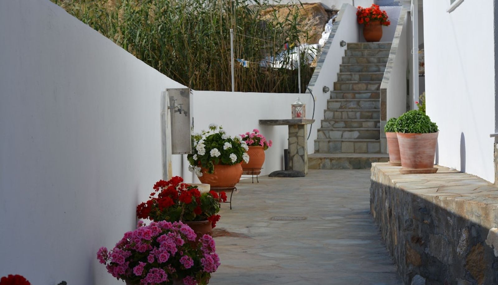 Terraza - Klados Studios