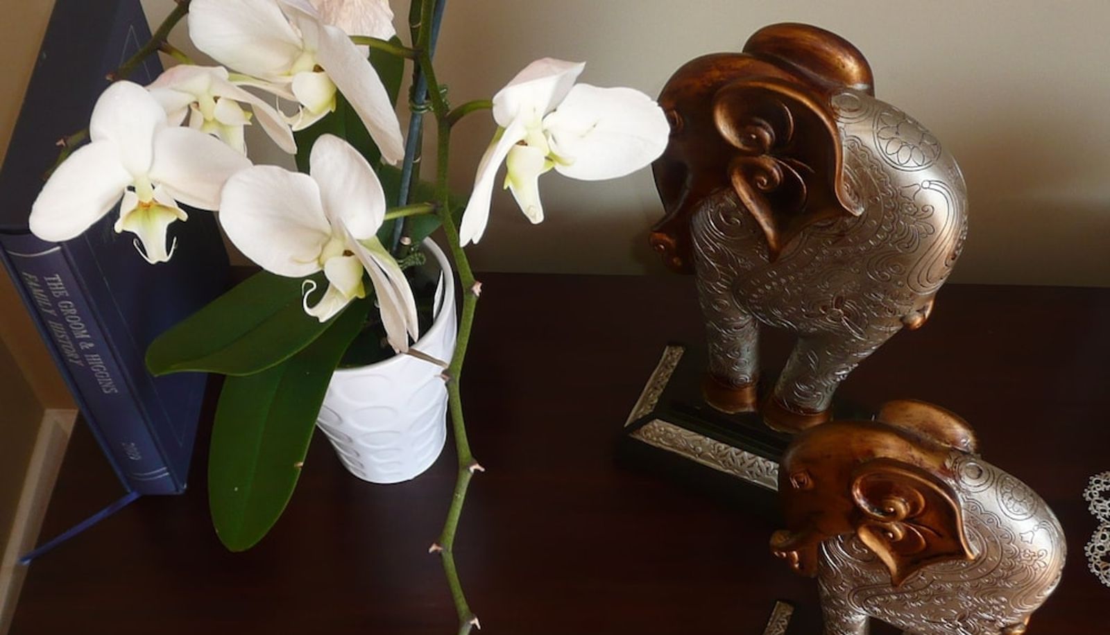 Hall - Kershaw House Boutique Accommodation
