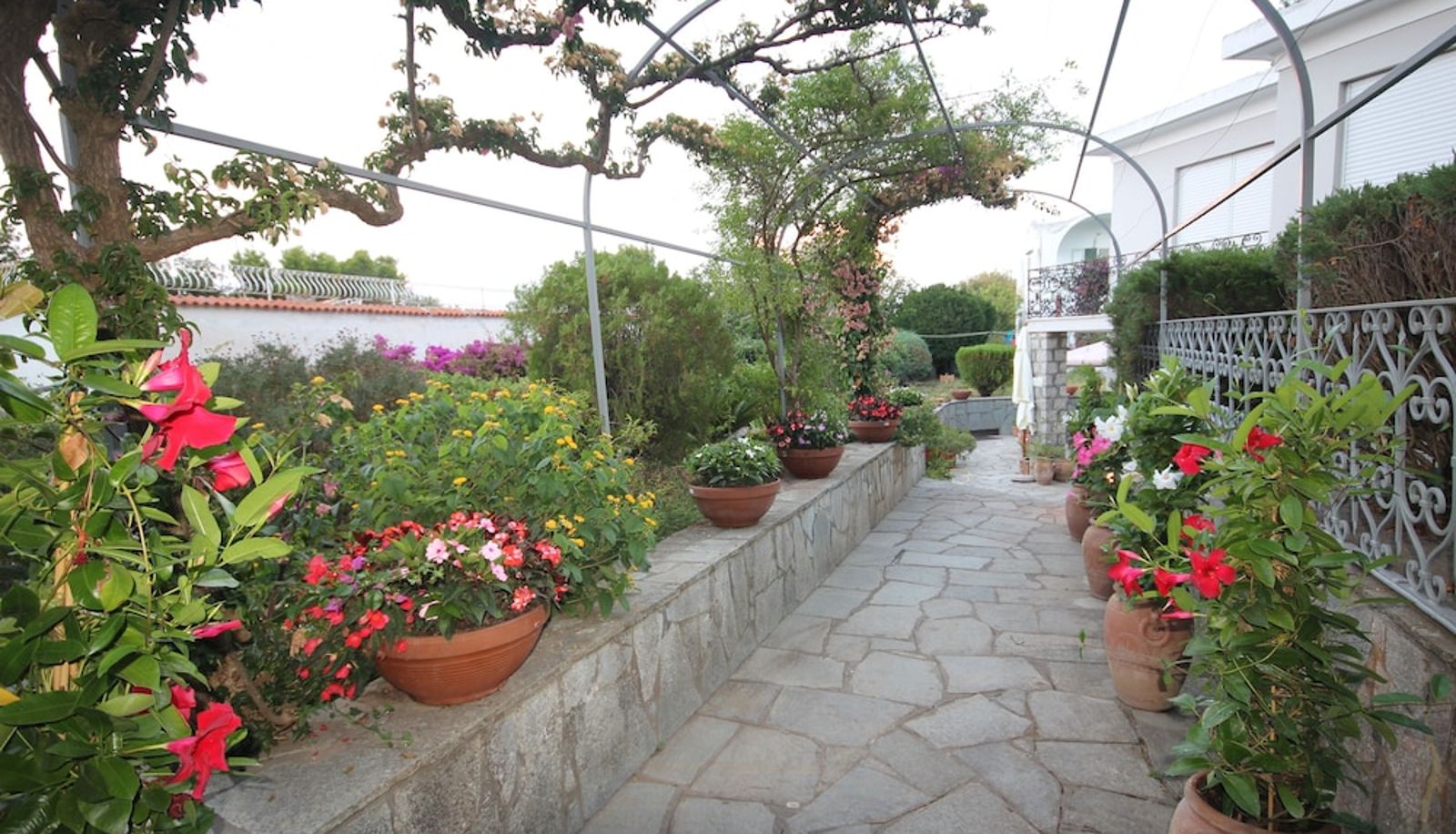 Garten - Cavalluccio Marino