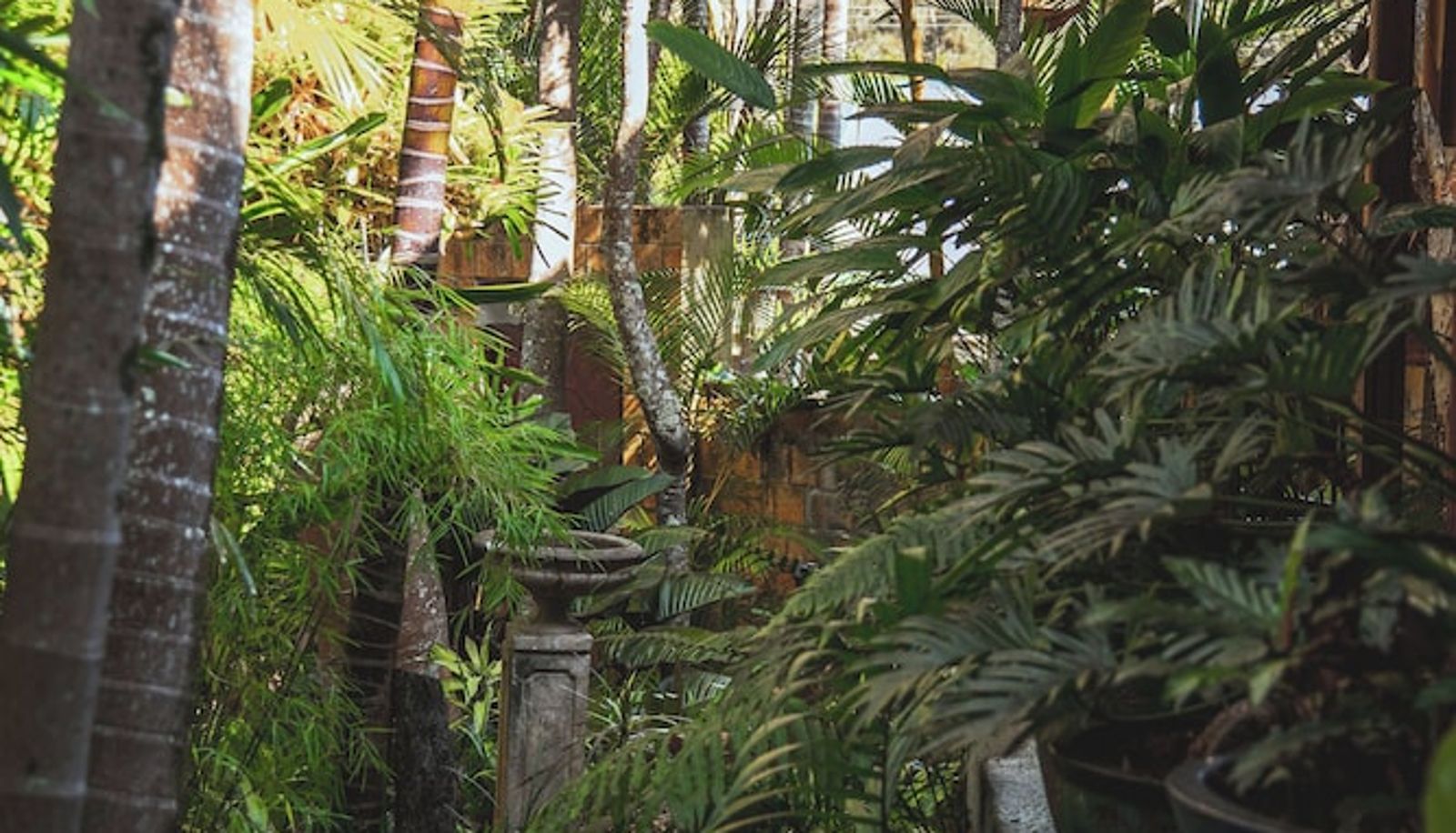 Garden - The Garden Burees