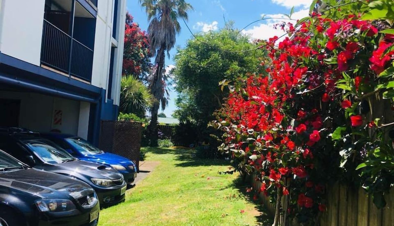 Garden - City of Sails Motel