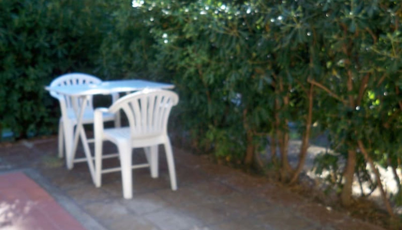Apartment - Airone Residenza Turistico Alberghiera