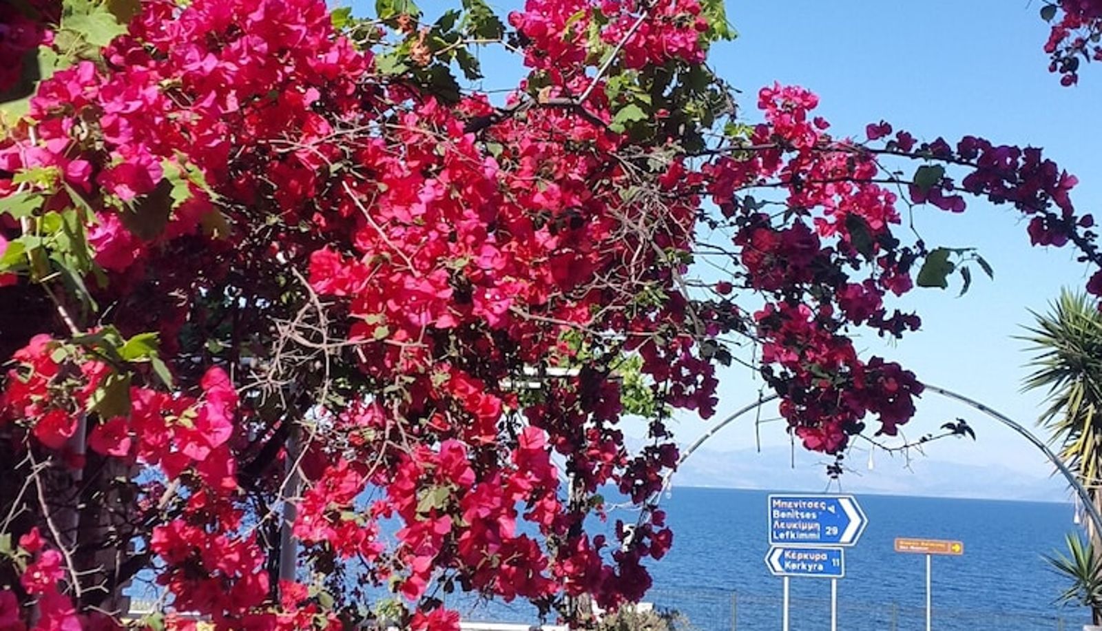 Info - Faliraki Apartments
